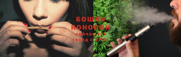 ГАЛЛЮЦИНОГЕННЫЕ ГРИБЫ Баксан