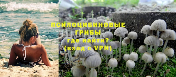 ГАЛЛЮЦИНОГЕННЫЕ ГРИБЫ Баксан
