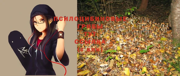 ГАЛЛЮЦИНОГЕННЫЕ ГРИБЫ Баксан