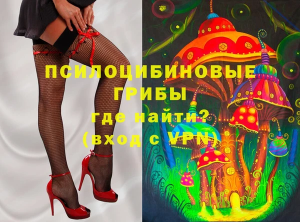 ГАЛЛЮЦИНОГЕННЫЕ ГРИБЫ Баксан