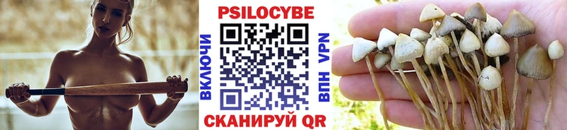 Галлюциногенные грибы Magic Shrooms  Сольвычегодск 